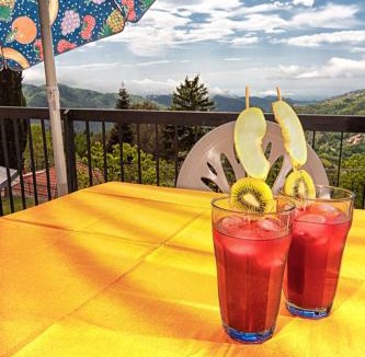 Velva Bed & Breakfast | Oasi Verde