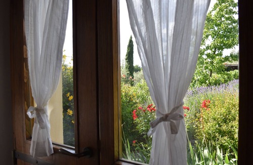 Monte San Savino Apartment | Old farmhouse surrounded by olive groves, near the village, 5 places, first floor, swimming pool