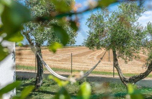 Villa Musone Bed & Breakfast | OrtoPì Country Canapa House