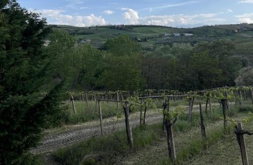 Loreto Aprutino Bed & Breakfast | Podere VignaLago