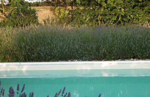 Cellarengo Resort | Private room ∙ 2 guests
