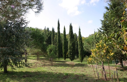 Montieri Cottage | Quiet house in the mountains, central location, ideal for trips