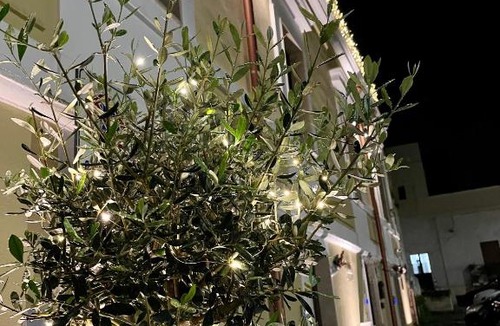 San Giorgio Ionico Bed & Breakfast | Relais Medea