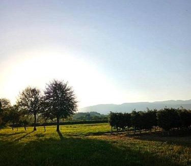 Pederobba Apartment | Relax nelle colline del Prosecco