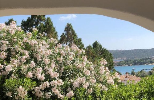 Liscia di Vacca Apartment | Residence Gli Oleandri 140 - Costa Smeralda - Porto Cervo