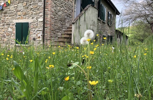 Monterenzio House | Rustic between oaks and tamarisks, in the Valle Del Sillaro.