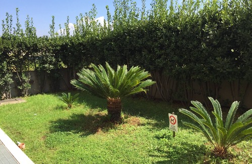Latina Apartment | Salieri Apartment 2 bedrooms
