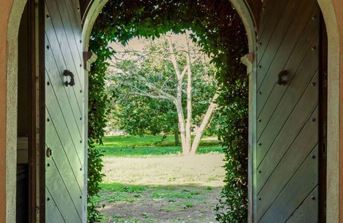 Poggio Cottage | Secular forest, swimming in the pool and various activities, the essence of Palo