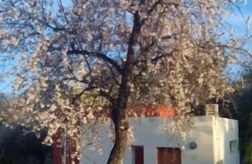 Calles Cottage | Self catering cottage La Aldea for 4 people