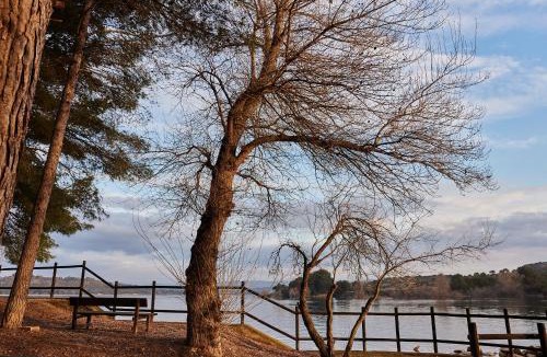 Caspe Other | TAIGA Lake Caspe
