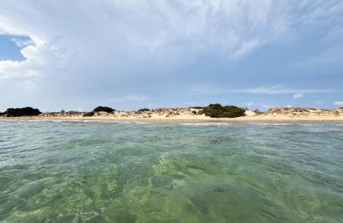 Granelli House | Tancredi's Seaside Home