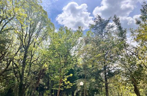 Vinchiaturo Villa | Tenuta Dafne
