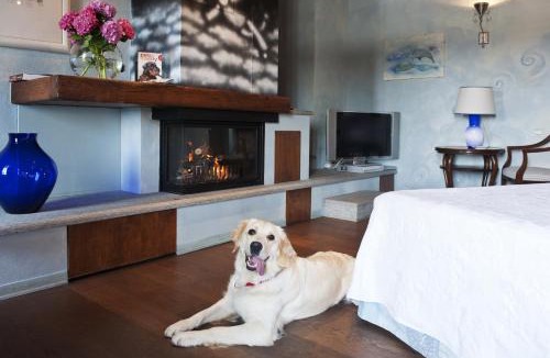 Buriasco Hotel | Tenuta La Cascinetta