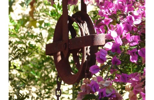 Banyeres del Penedes House | The Garden House