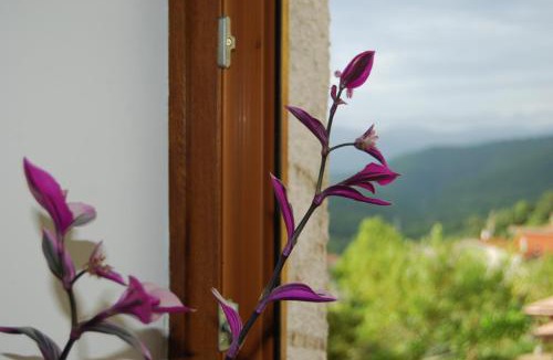 Longano Apartment | TreeStay - Ampio appartamento moderno completo di tutto