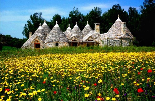 Cisternino Villa | Trullo in the woods, a few steps from a hiking and cycling trail