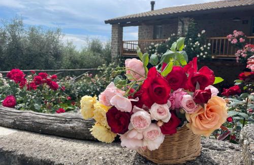Casola in Lunigiana House | Tuscan Country House - Capanna dei muli