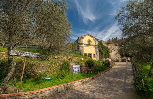 Podenzana Bed & Breakfast | Un'Ottima Annata B&B