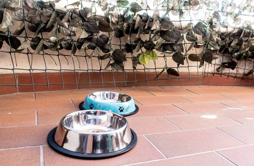 Bastia Umbra Apartment | Vacation Home Il Cammino Assisi