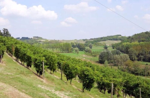 Montemagno House | Vacation home La Mondianese (AST310) in Asti - 7 persons, 4 bedrooms