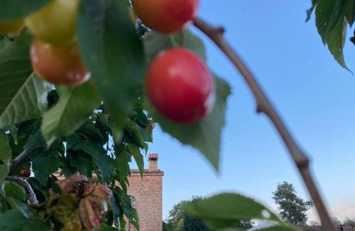 Aguilar de Segarra Villa | Vila-seca Vall d'Amunt, vine i desconnecta!