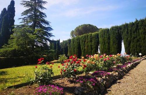 Campagnatico Apartment | Villa Bellaria