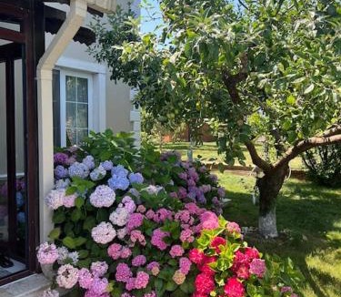 Mollafeneri Villa | Villa Elegance
