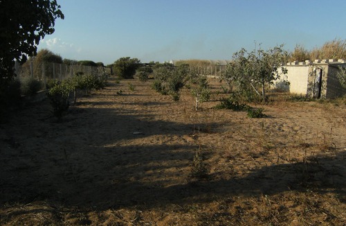 Portopalo di Capo Passero Villa | Villa Pescecola Portopalo IsolaCorrenti Carratois 400mt from the beach 6 + 4 beds