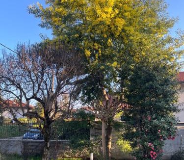 Cassano Magnago House | Villa Mimosa