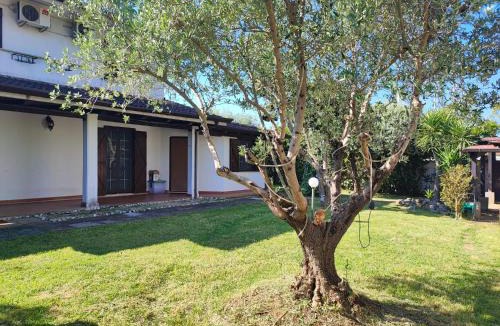 Sabaudia House | Villetta con giardino Sabaudia