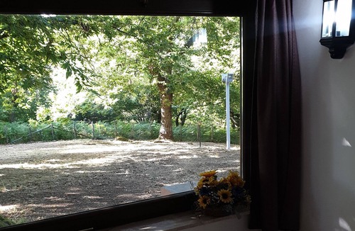 Segni Apartment | Villino surrounded by nature