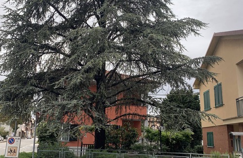Costigliole d'Asti House | Villino with terrazza