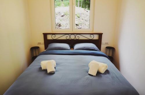 Mollia House | Wild Side