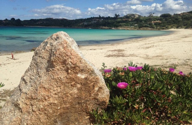 Punta Asfodeli, mini appt p.t. in residence 20m from the sea calls 3357414413