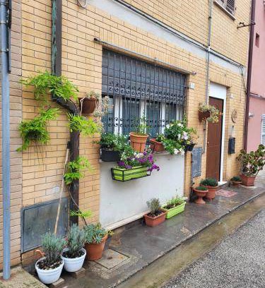 Porto San Giorgio Bed & Breakfast | 16 m² Bed and breakfast ∙ 3 guests