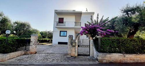 Alcanterini Bed & Breakfast | 20 m² Bed and breakfast ∙ 3 guests