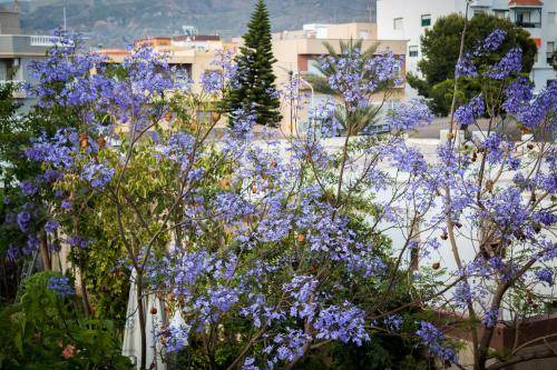 Adra Bed & Breakfast | 20 m² Bed and breakfast ∙ 3 guests