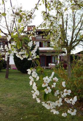 Cavour Bed & Breakfast | 20 m² Bed and breakfast ∙ 3 guests
