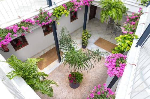 San Lorenzo Apartment | 50 m² Apartment ∙ 4 guests
