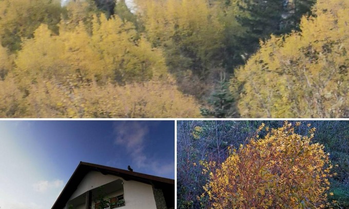 Borzonasca Apartment | 50 m² Apartment ∙ 1 bedroom ∙ 5 guests