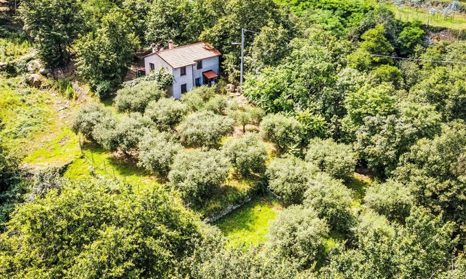 Rialto House | Beautiful private villa for 6 guests with WIFI, TV, patio and pets allowed