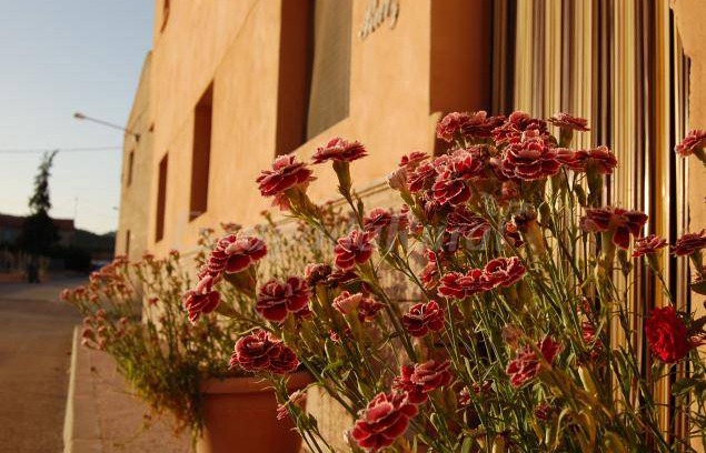 Caravaca de la Cruz Cottage | Cabin ∙ 10 bedrooms ∙ 10 guests