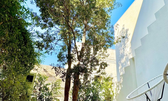 Castromediano Bed & Breakfast | Eufonia will welcome you in a relaxing environment in the center of Lecce