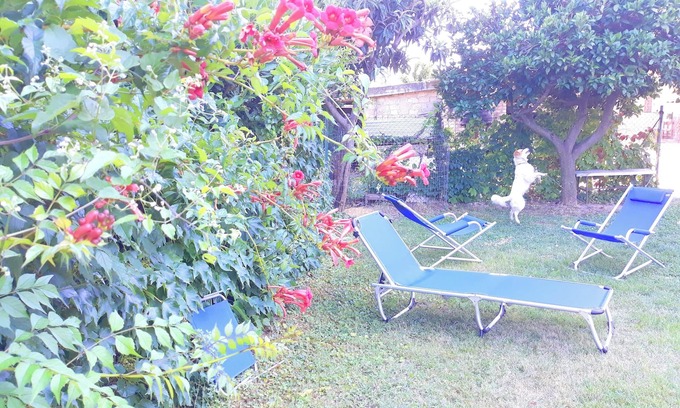 Canosa Sannita Apartment | Homerez - Apartment in Canosa Sannita