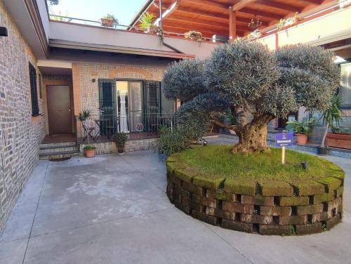 Sant'Egidio del Monte Albino Bed & Breakfast | 40 m² Bed and breakfast ∙ 4 guests
