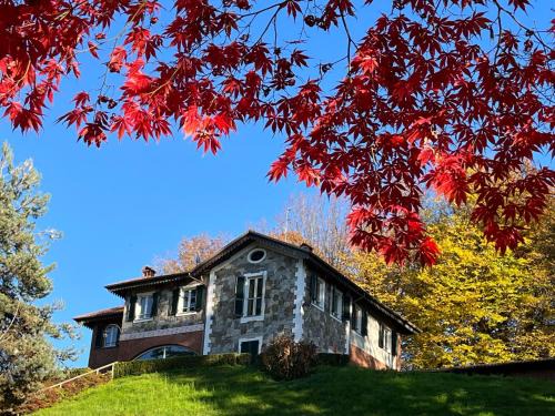 Pettinengo Hostel | L'Elefante Fritz Boutique Lodge - Villa Piazzo