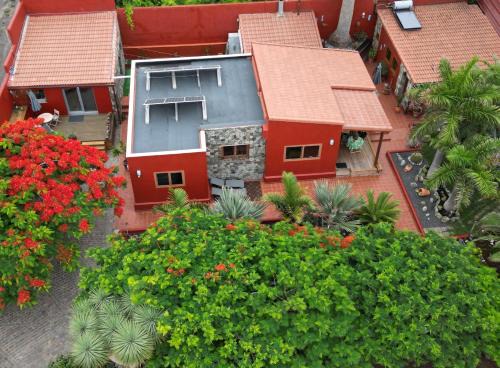 Punta del Hidalgo Apartment | Papaya Cottage Punta del Hidalgo La Azócar