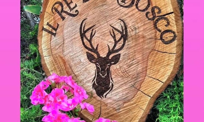 Ormea Apartment | THE KING OF THE WOODS