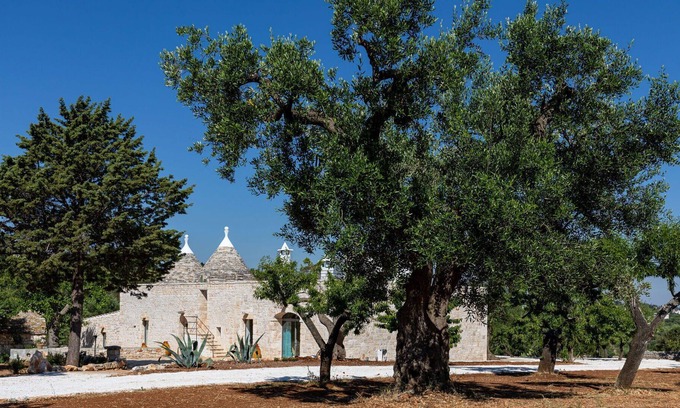Monopoli Villa | Villa in Monopoli with 4 bedrooms sleeps 8