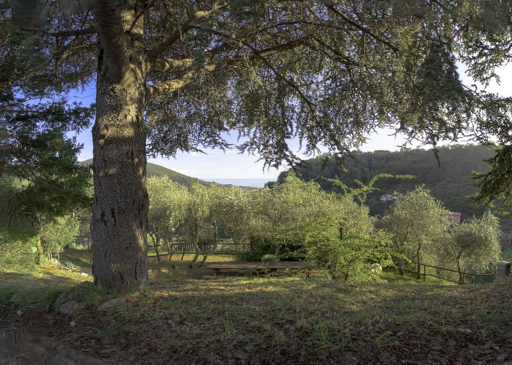 Photo of Outdoor in Cerri